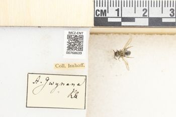 Media type: image;   Entomology 768639 Aspect: Labels